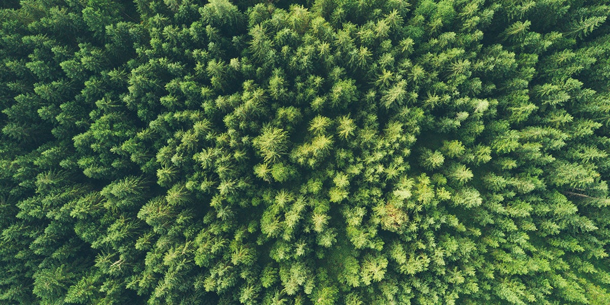 Environment Environmental impact with first class comms